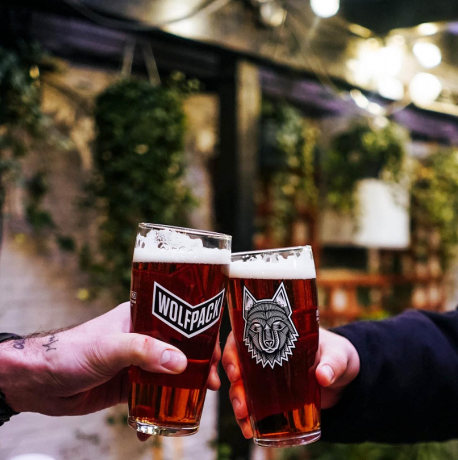 Two beers at Wolf Pack, Queen's Park, neighbourhood guide