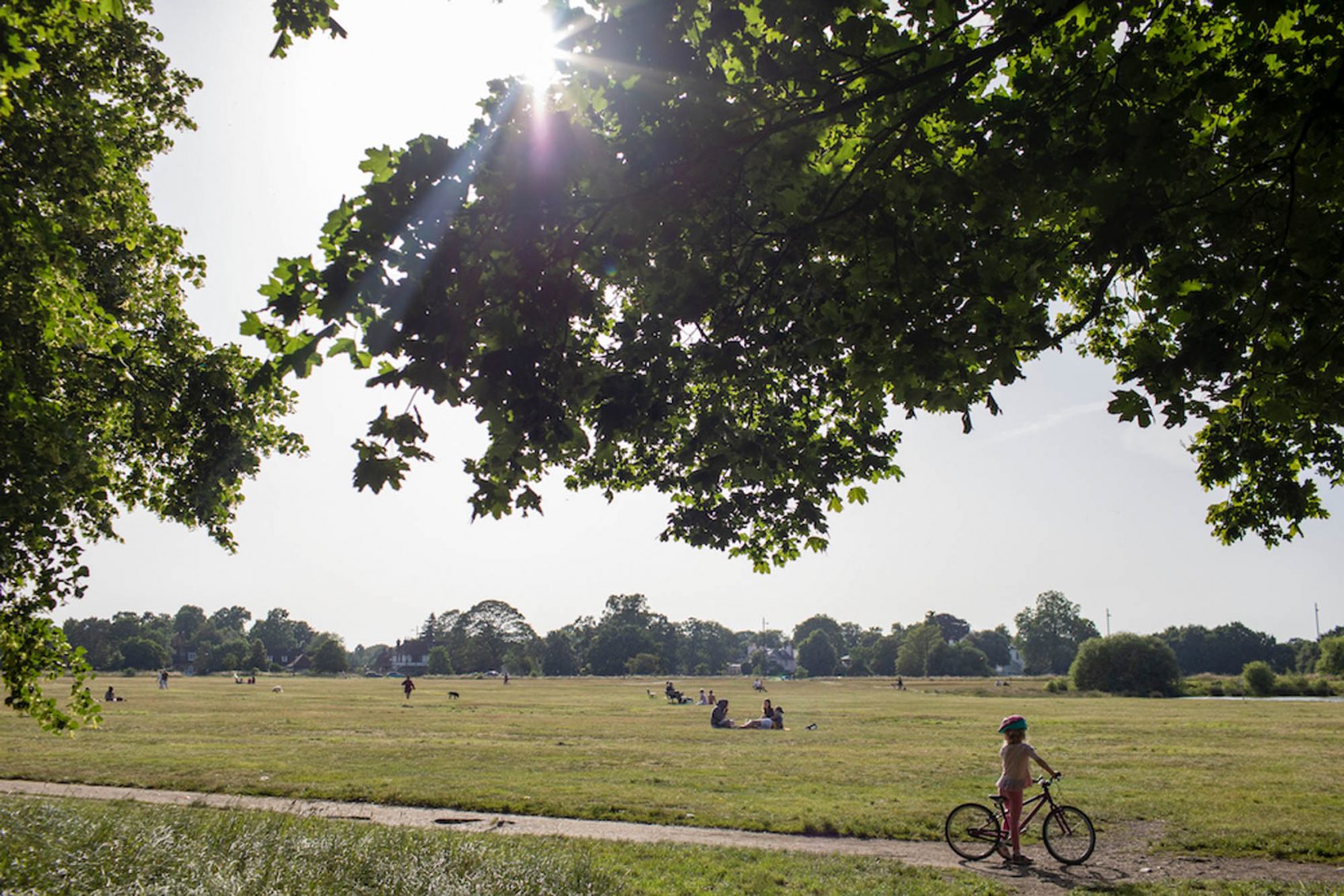 Summer shot of Wimbledon Common right by coworking space Common Ground