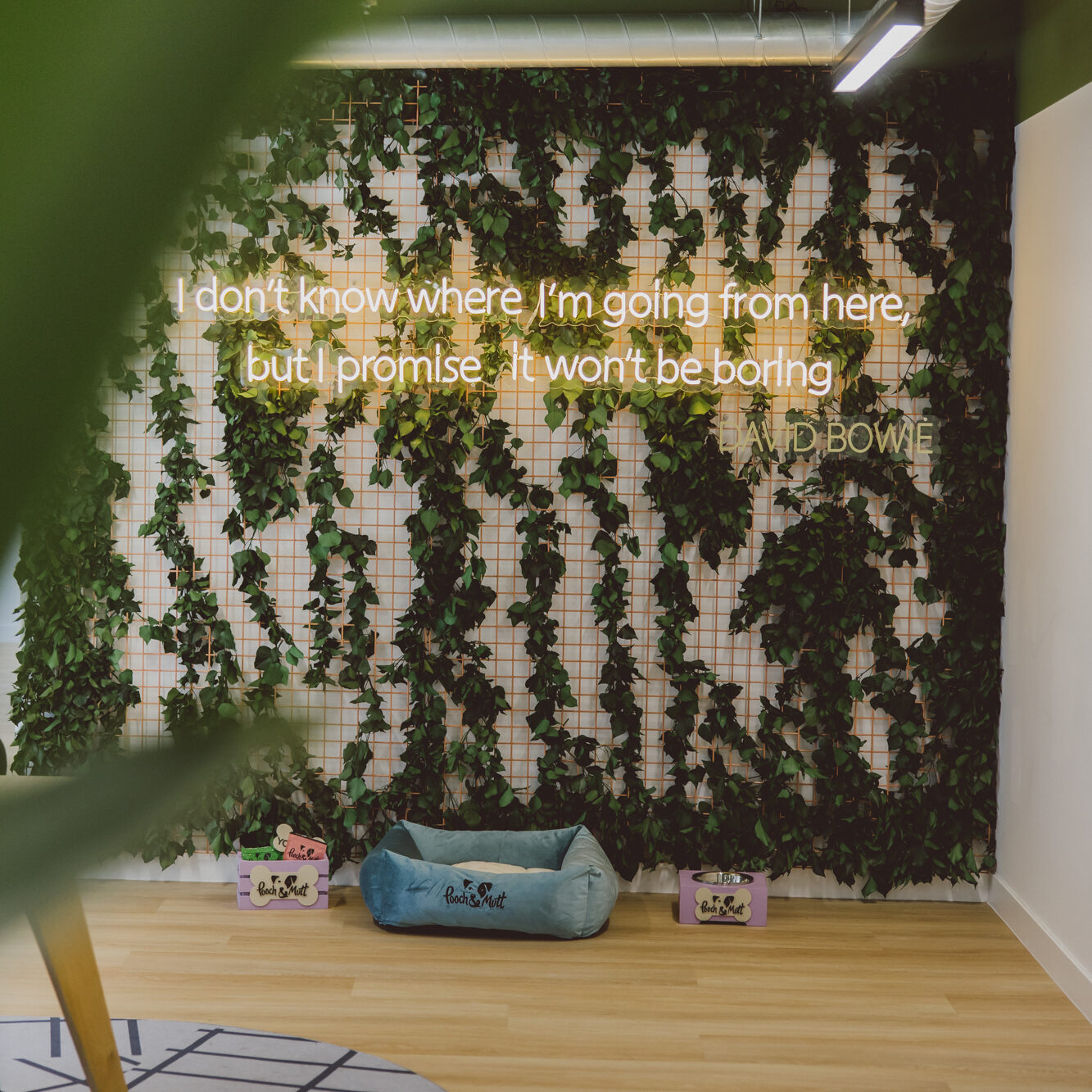 The Landing – Neon Sign (1)