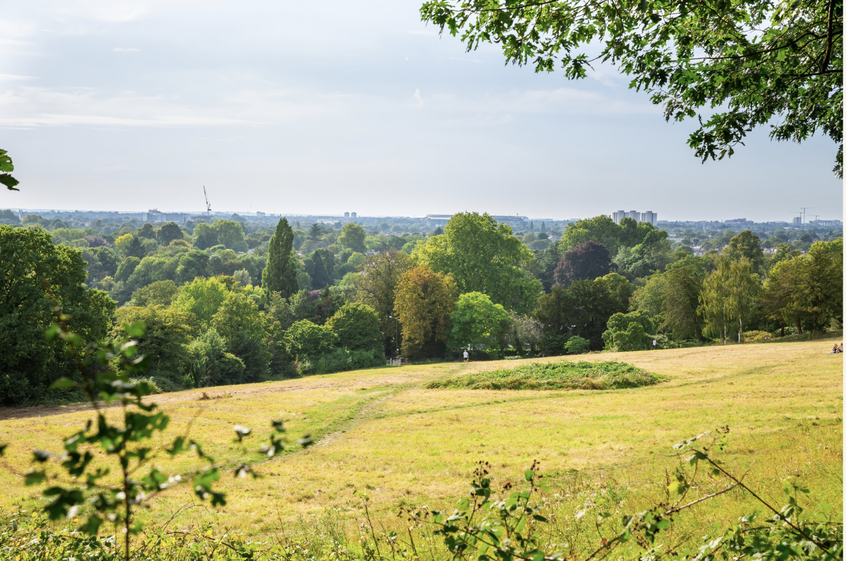 Richmond Park