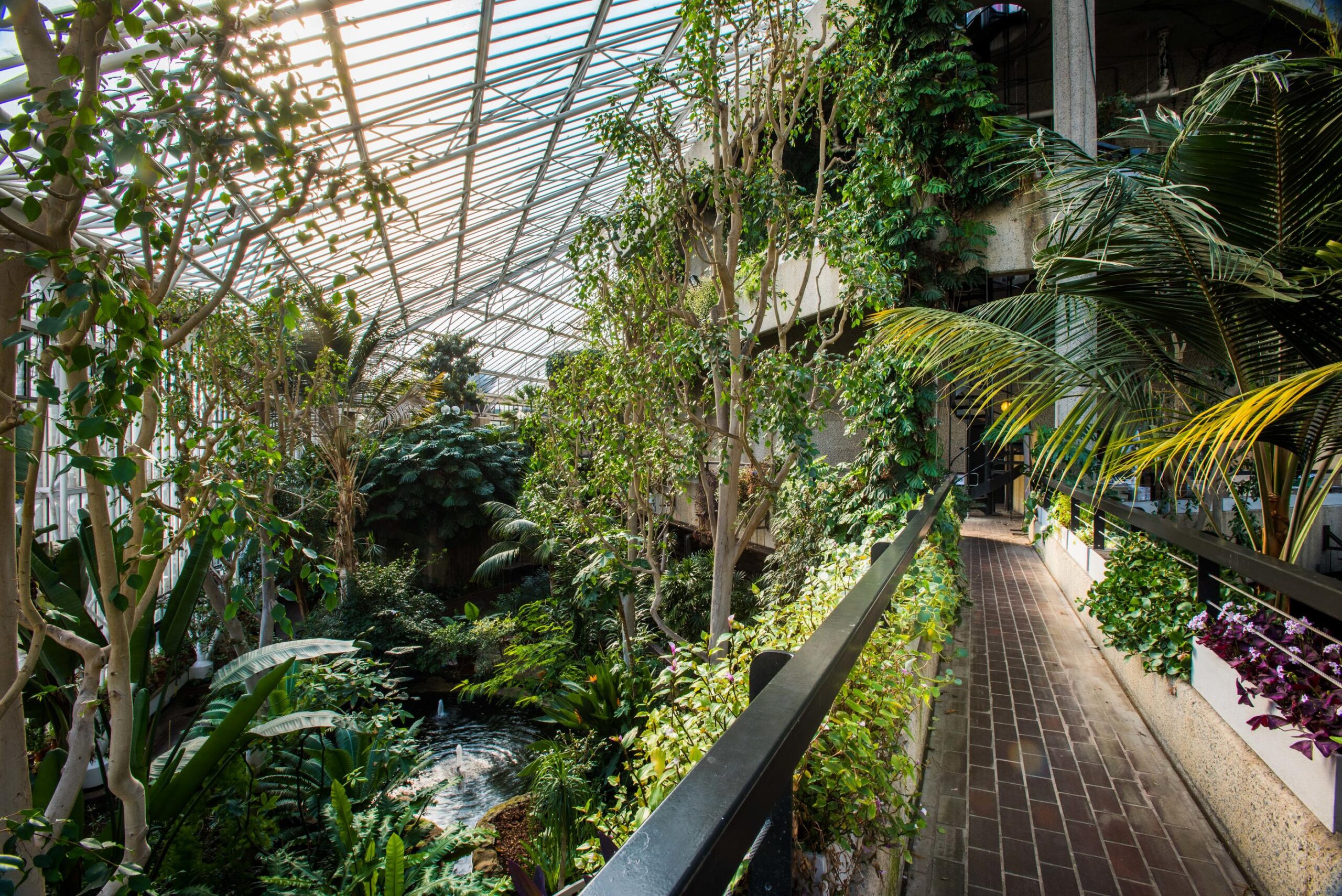 12. Conservatory, Barbican Centre, CREDIT Max Colson 12. Conservatory, Barbican Centre, CREDIT Max Colson