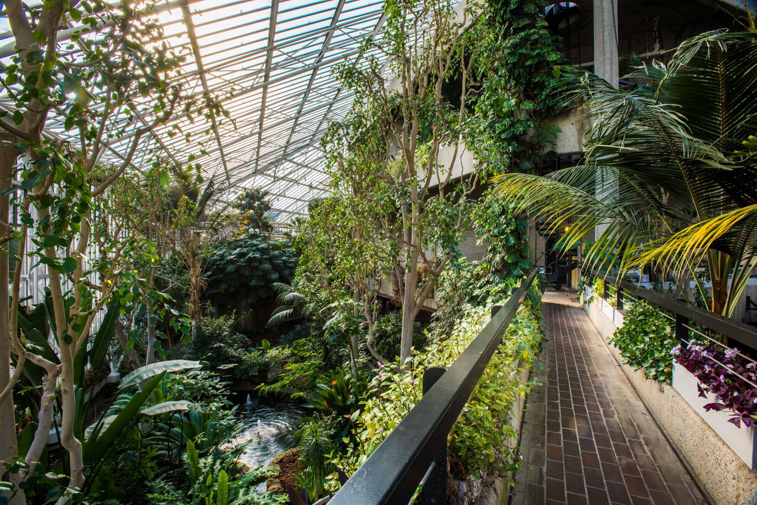 12. Conservatory, Barbican Centre, CREDIT Max Colson