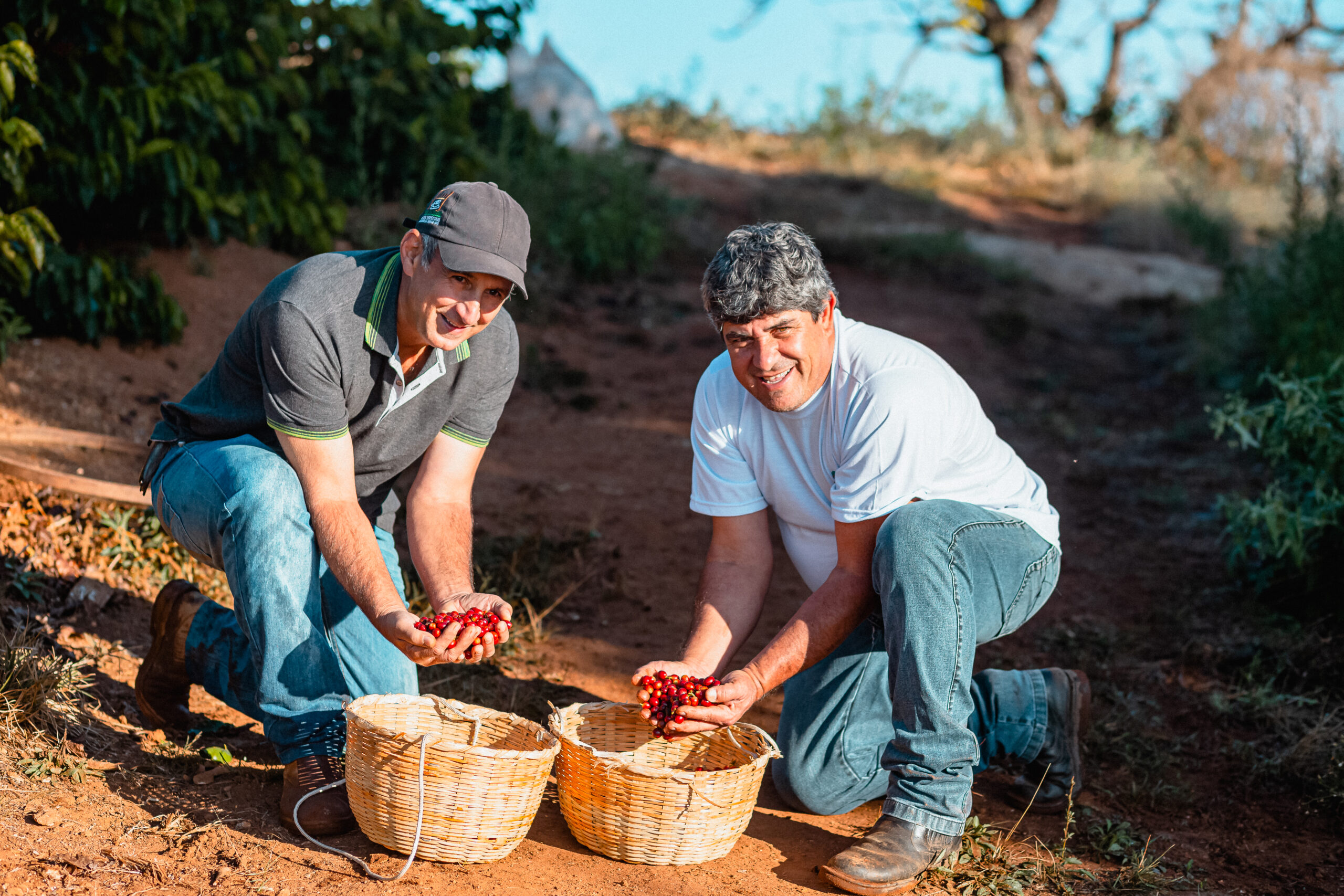 Caravan Coffee from Brazil