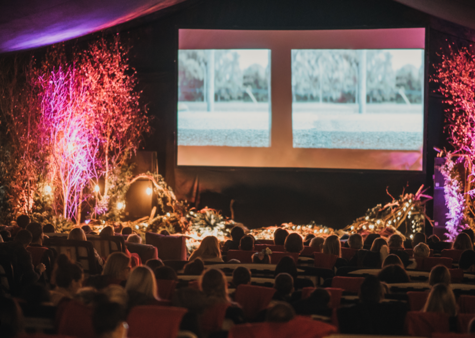 Backyard Cinema