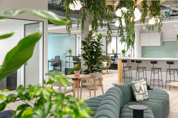 5 proven effects of office foliage on work wellbeing