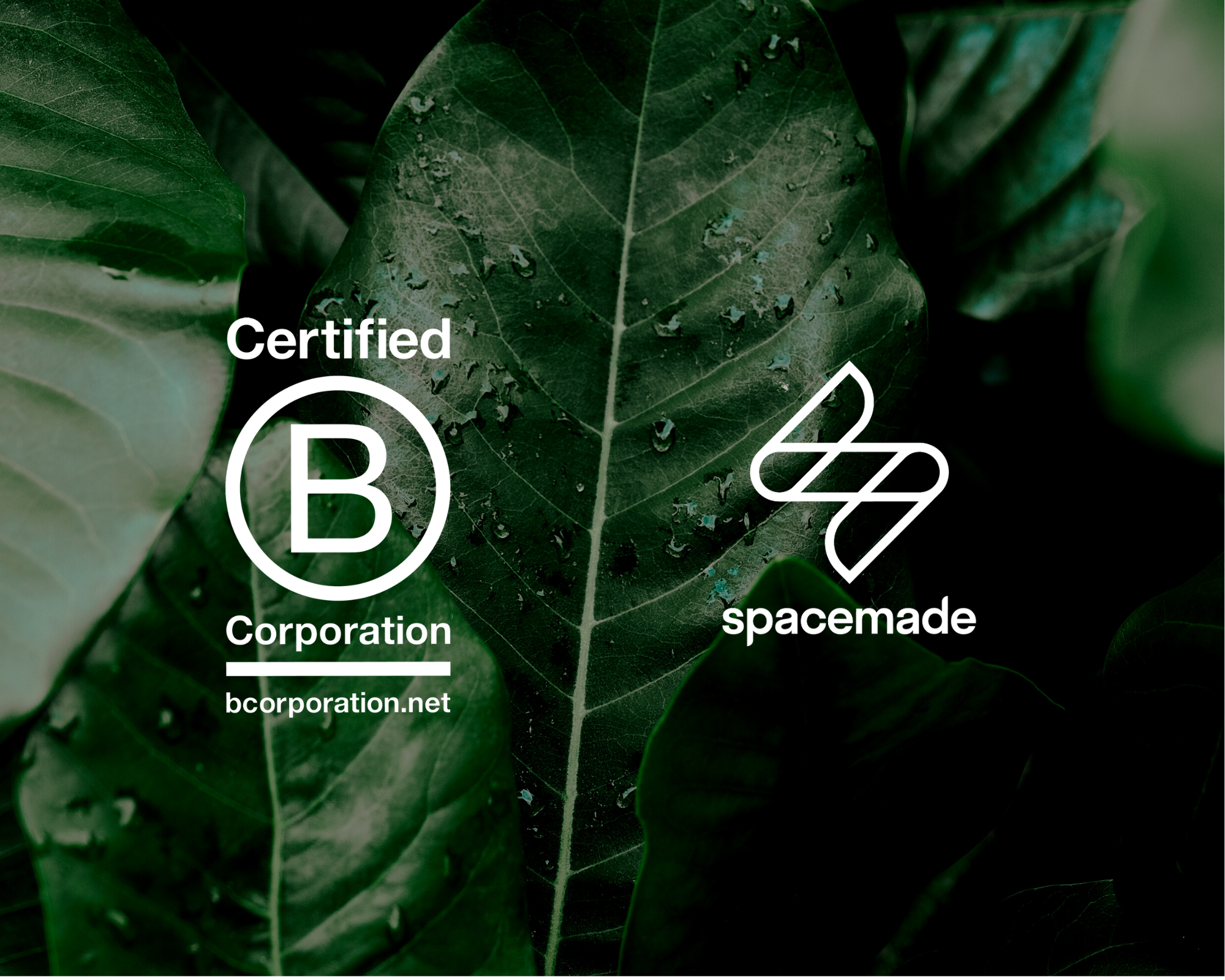 The B Corp Movement: Spacemade’s Commitment to a Better Future
