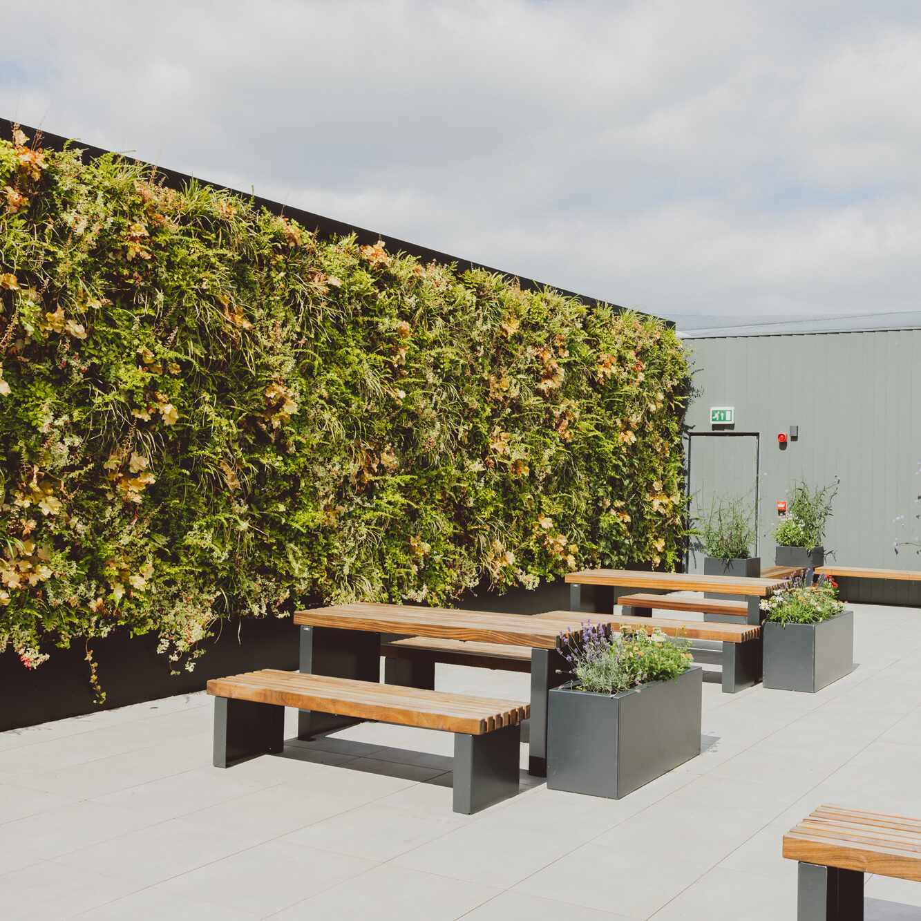 Rooftop event venue in Birmingham featuring wooden benches, potted greenery, and a striking living wall feature—ideal for outdoor gatherings and networking events.